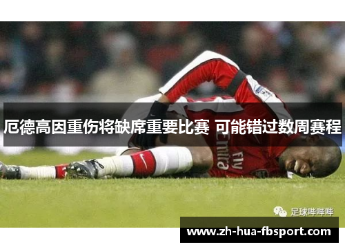 厄德高因重伤将缺席重要比赛 可能错过数周赛程